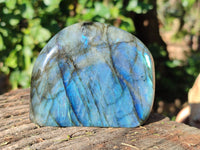 Polished Labradorite Standing Free Forms x 3 From Tulear, Madagascar