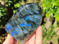 Polished Labradorite Standing Free Forms x 3 From Tulear, Madagascar
