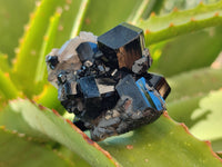 Natural Schorl Black Tourmaline Specimens with Hyalite Opal x 20 From Erongo, Namibia