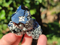 Natural Schorl Black Tourmaline Specimens with Hyalite Opal x 20 From Erongo, Namibia
