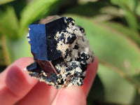 Natural Schorl Black Tourmaline Specimens with Hyalite Opal x 20 From Erongo, Namibia