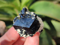 Natural Schorl Black Tourmaline Specimens with Hyalite Opal x 20 From Erongo, Namibia