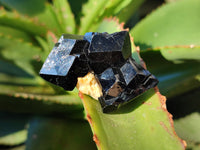 Natural Schorl Black Tourmaline Specimens with Hyalite Opal x 20 From Erongo, Namibia