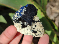 Natural Schorl Black Tourmaline Specimens with Hyalite Opal x 20 From Erongo, Namibia
