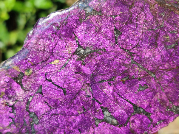 Polished Purpurite Coated with Resin On One Side x 3 From Erongo, Namibia