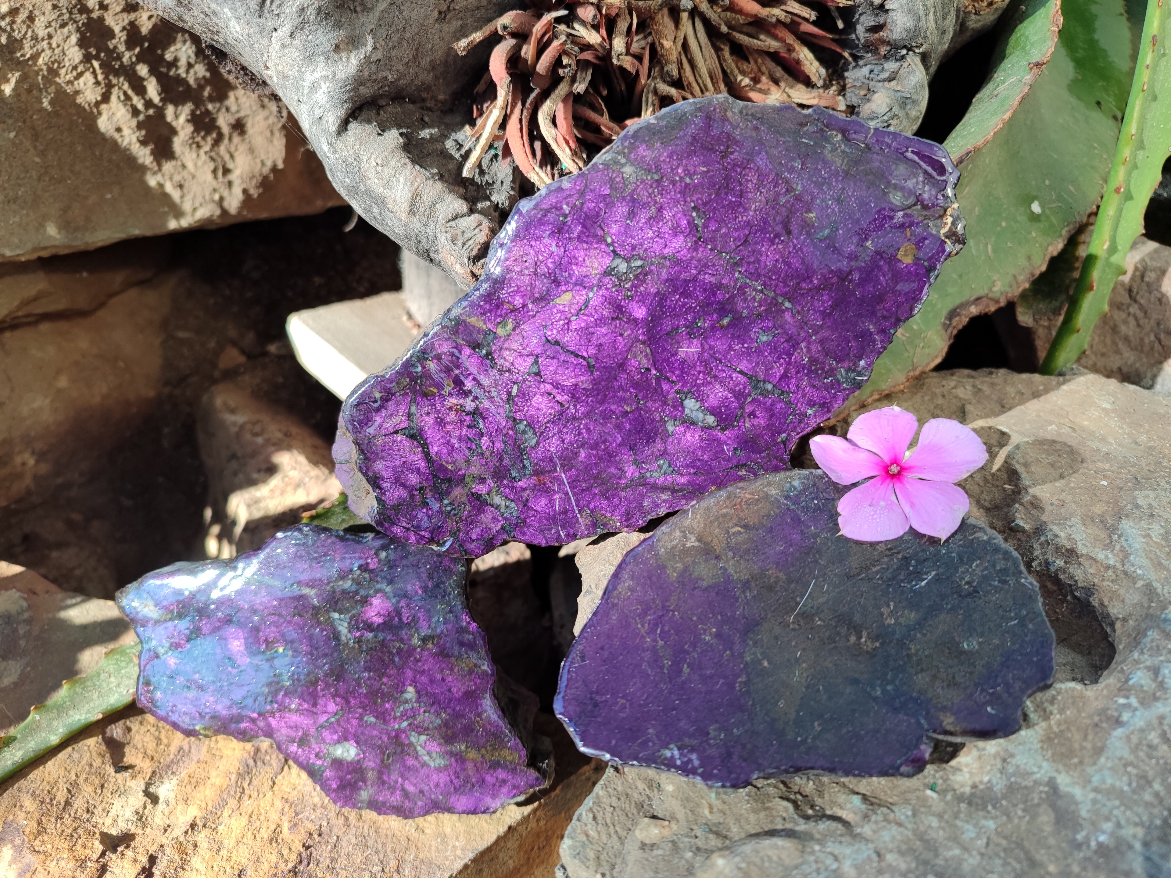 Polished Purpurite Coated with Resin On One Side x 3 From Erongo, Namibia - Toprock Gemstones and Minerals 