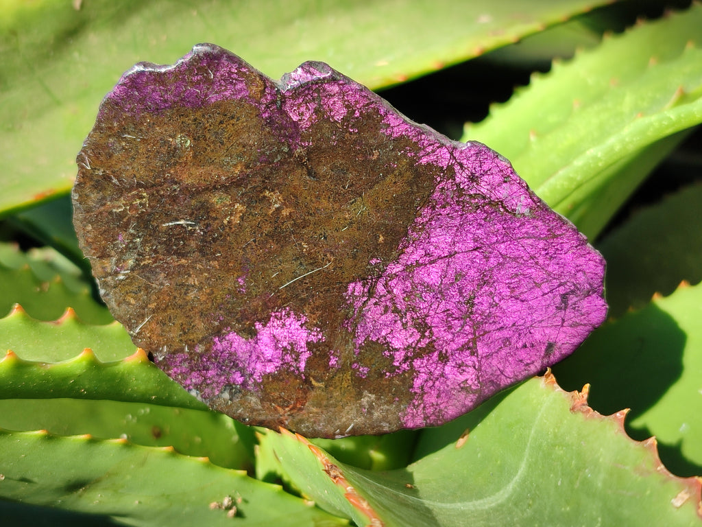 Polished Purpurite Coated with Resin On One Side x 3 From Erongo, Namibia - Toprock Gemstones and Minerals 