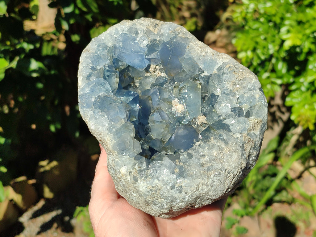 Natural Celestite Geode Specimens x 1 From Sakoany, Madagascar - Toprock Gemstones and Minerals 