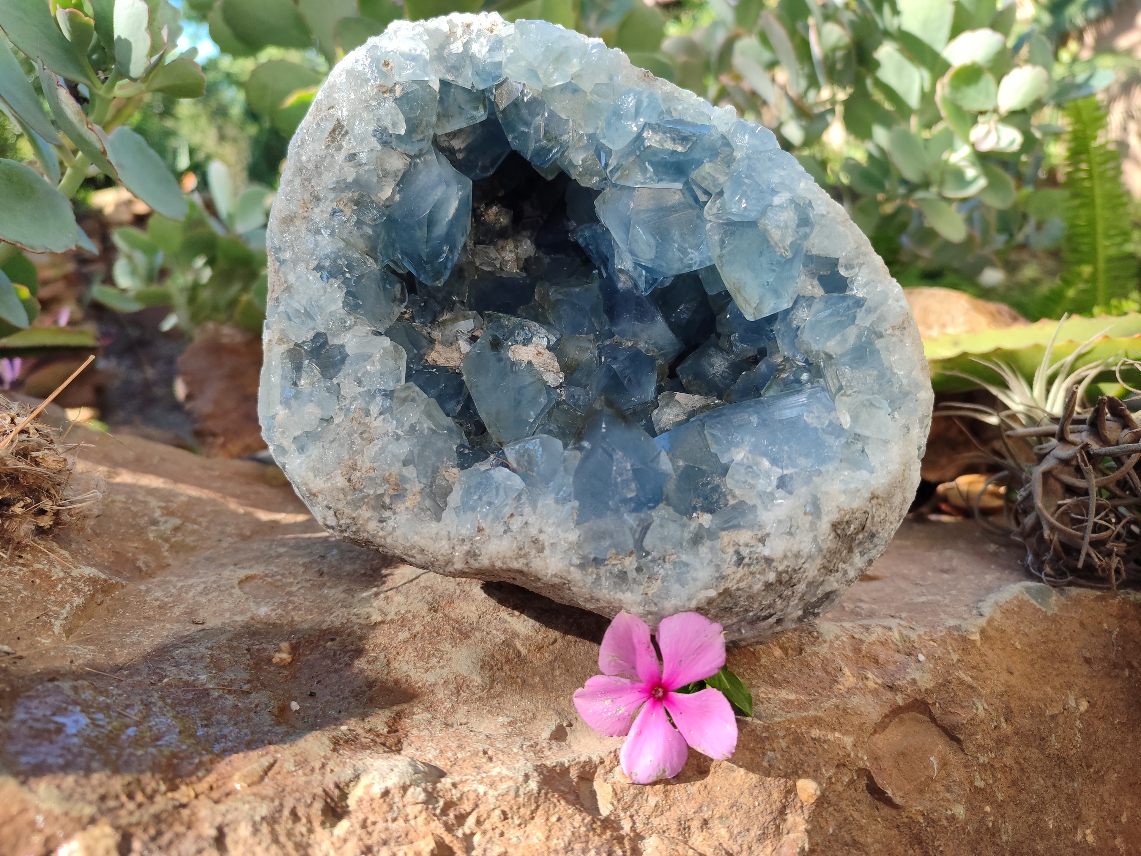 Natural Celestite Geode Specimens x 1 From Sakoany, Madagascar - Toprock Gemstones and Minerals 