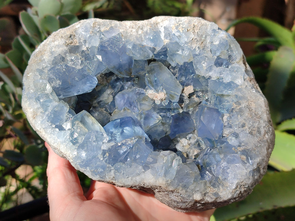 Natural Celestite Geode Specimens x 1 From Sakoany, Madagascar - Toprock Gemstones and Minerals 