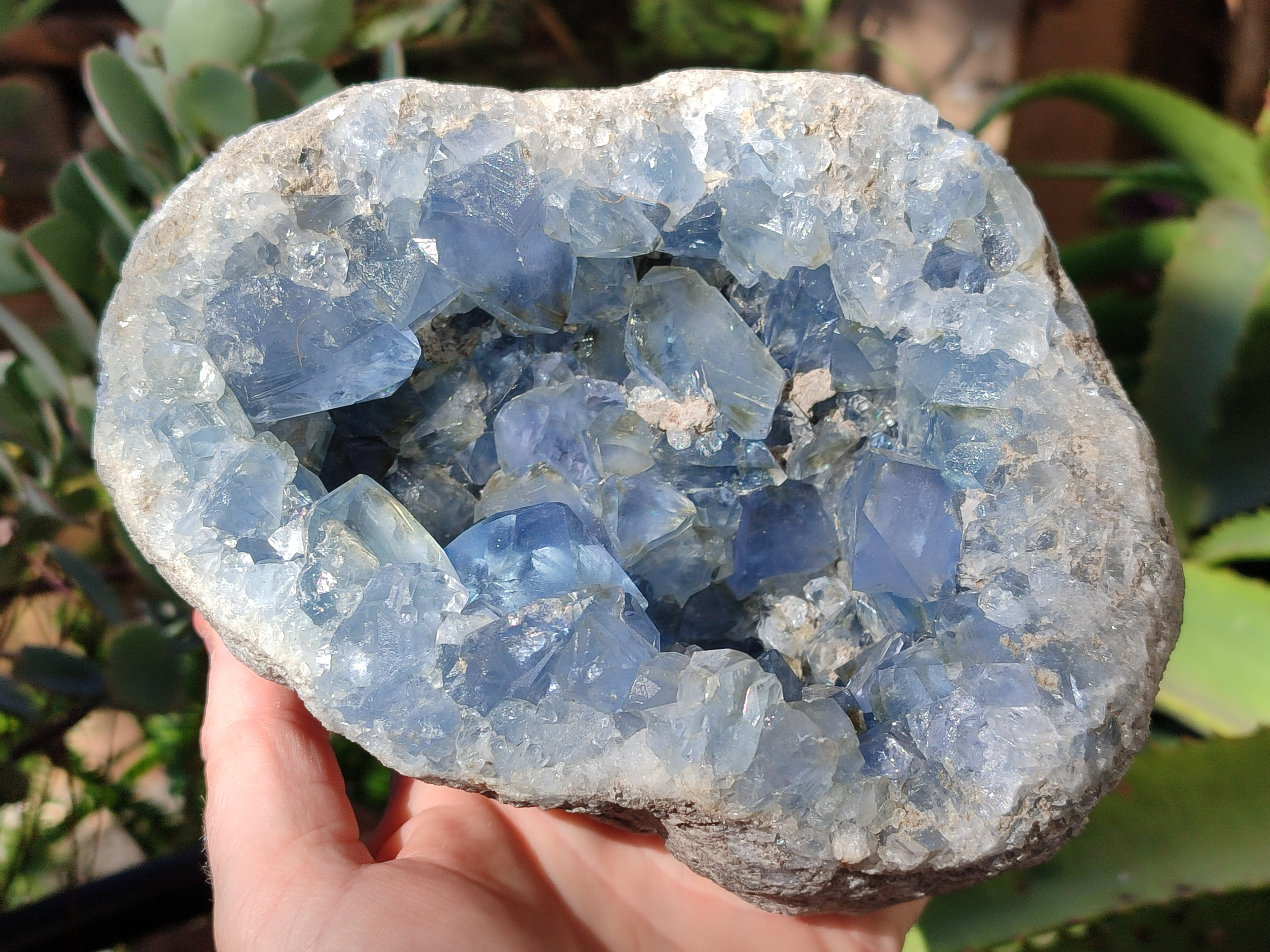 Natural Celestite Geode Specimens x 1 From Sakoany, Madagascar - Toprock Gemstones and Minerals 