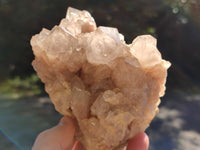 Natural Phantom Quartz Clusters x 2 From Luena, Congo