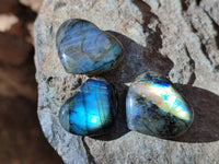 Polished Mini Labradorite Hearts x 23 From Tulear, Madagascar