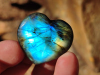 Polished Mini Labradorite Hearts x 23 From Tulear, Madagascar