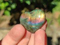 Polished Mini Labradorite Hearts x 23 From Tulear, Madagascar