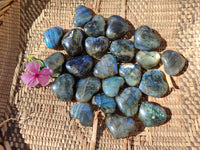 Polished Mini Labradorite Hearts x 23 From Tulear, Madagascar