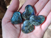 Polished Mini Labradorite Hearts x 23 From Tulear, Madagascar