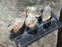 Natural Single Quartz Crystals with Ehydro Bubbles x 35 From Brandberg, Namibia