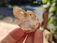 Natural Single Quartz Crystals with Ehydro Bubbles x 35 From Brandberg, Namibia