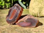 Polished On One Side Red Sashe River Agate Nodules x 35 From Zimbabwe - Toprock Gemstones and Minerals 
