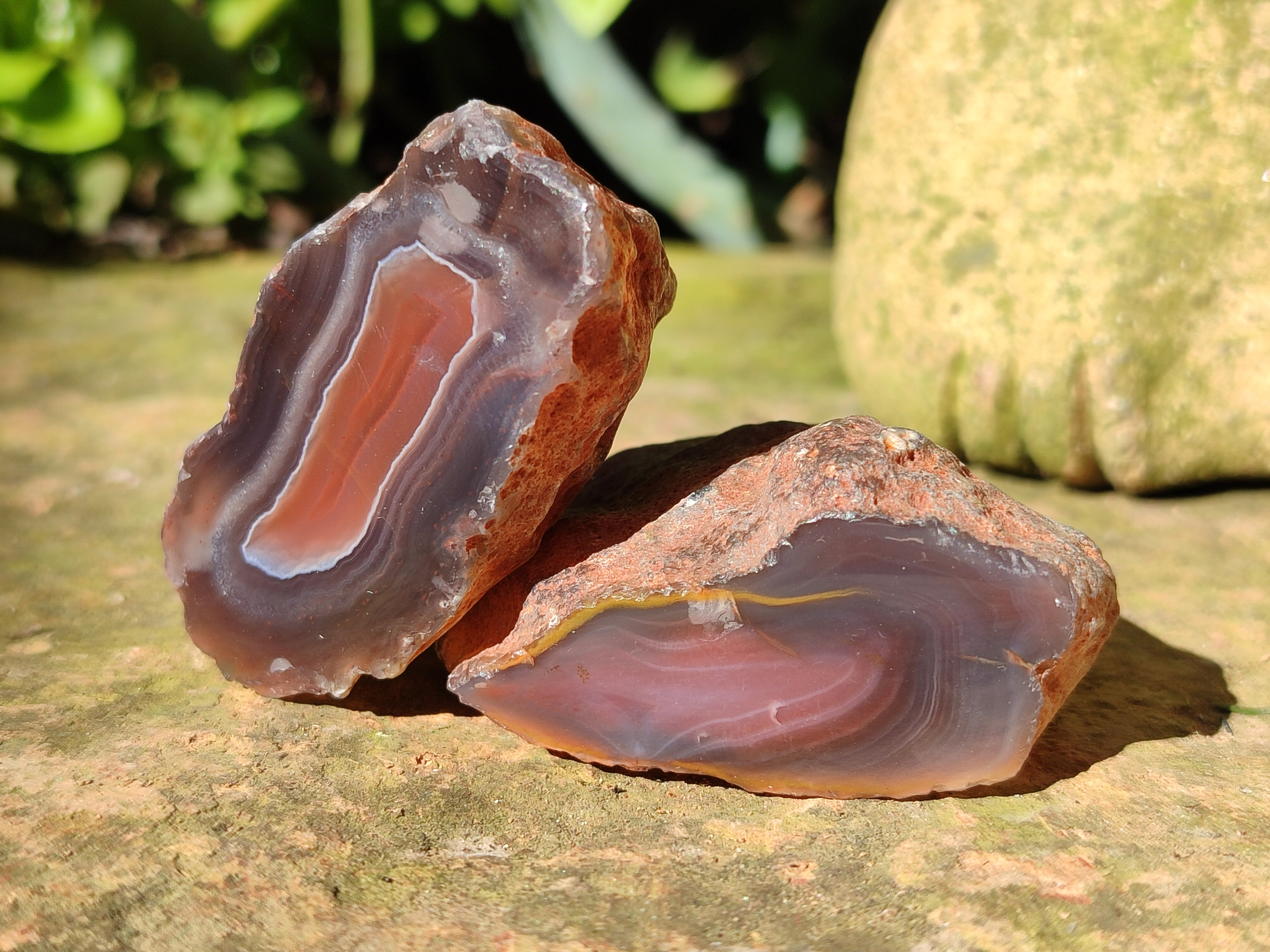 Polished On One Side Red Sashe River Agate Nodules x 35 From Zimbabwe - Toprock Gemstones and Minerals 