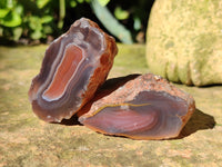 Polished On One Side Red Sashe River Agate Nodules x 35 From Zimbabwe - Toprock Gemstones and Minerals 