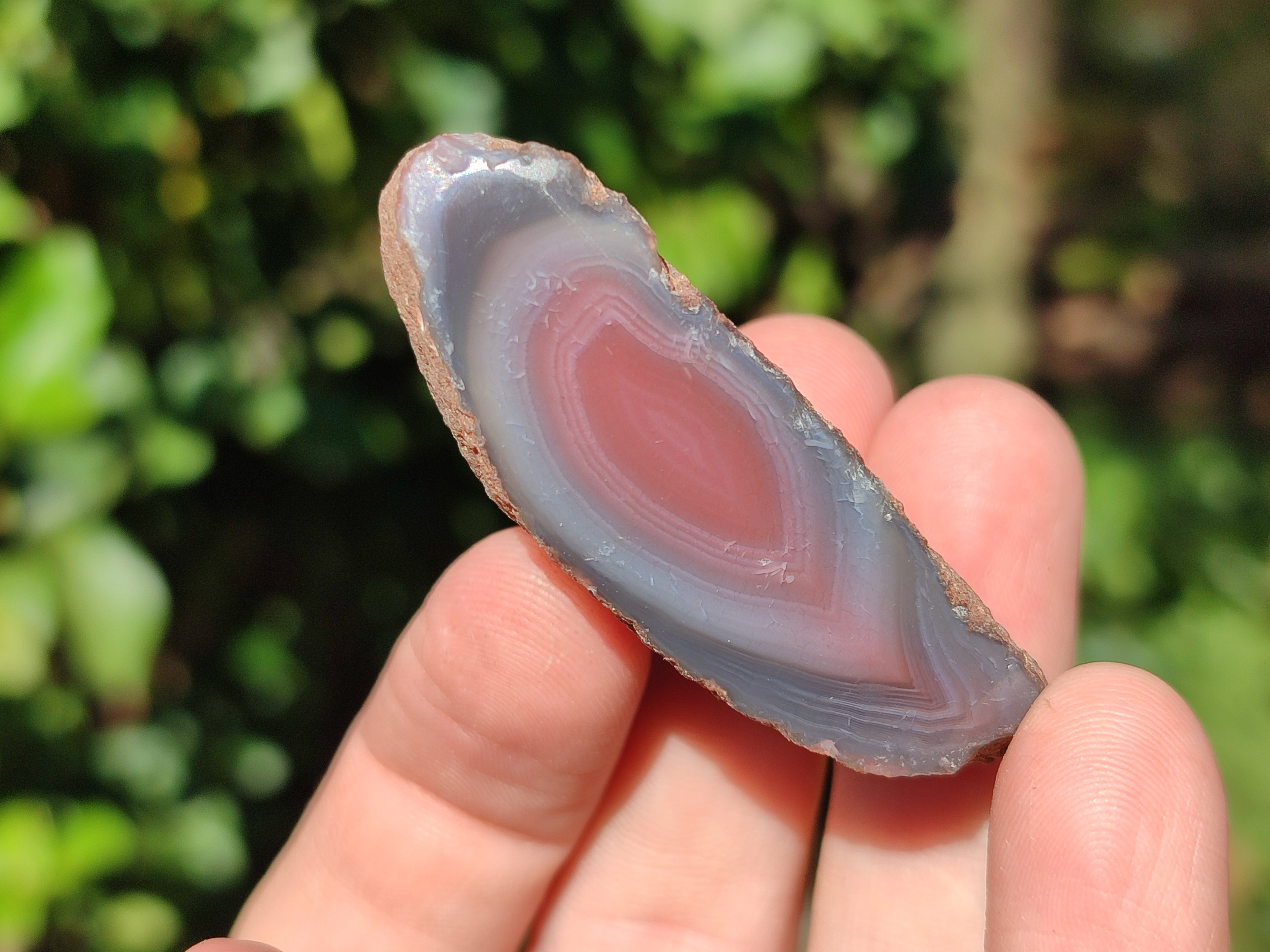 Polished On One Side Red Sashe River Agate Nodules x 35 From Zimbabwe - Toprock Gemstones and Minerals 