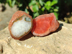 Polished On One Side Red Sashe River Agate Nodules x 35 From Zimbabwe - Toprock Gemstones and Minerals 