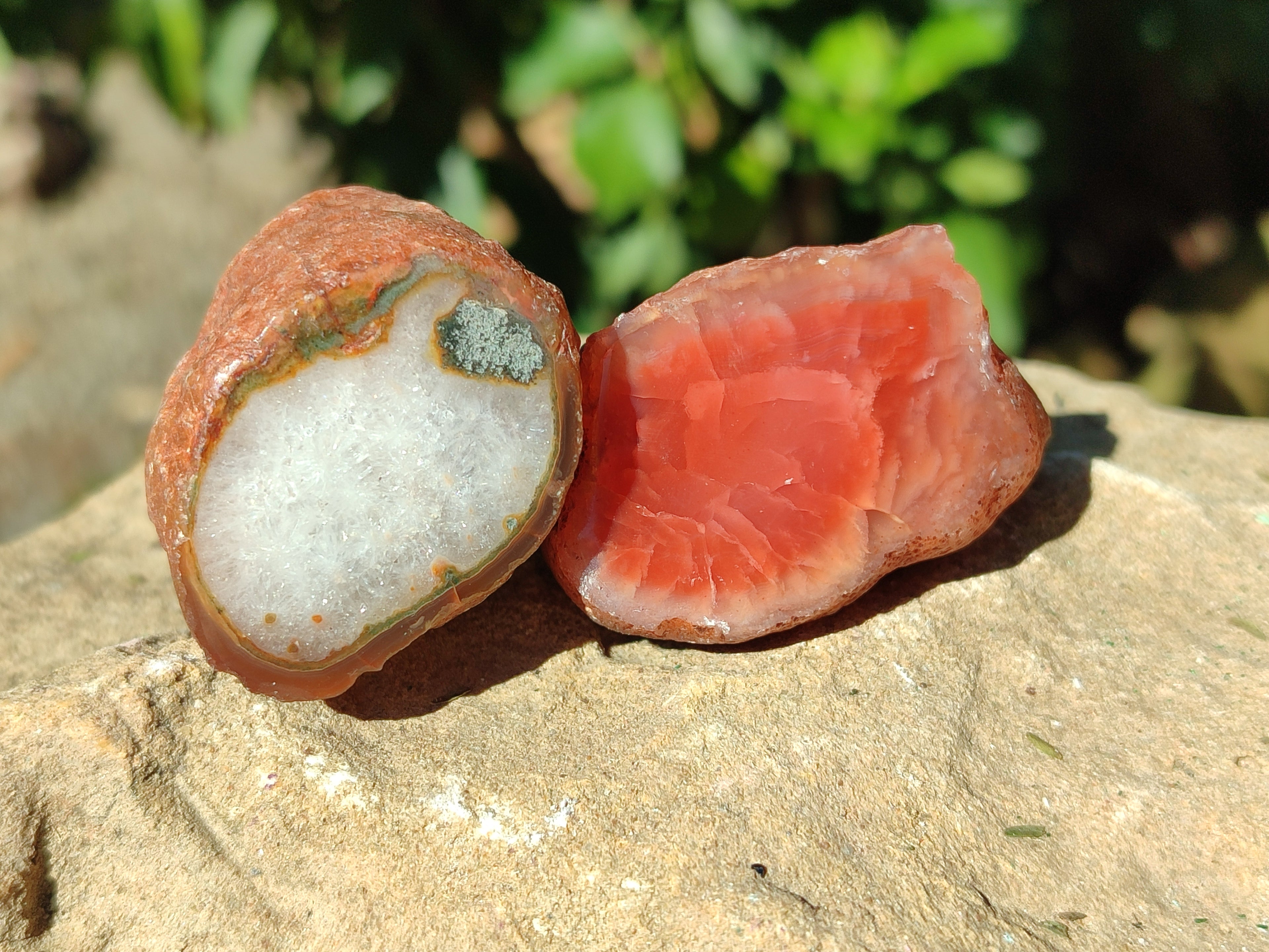 Polished On One Side Red Sashe River Agate Nodules x 35 From Zimbabwe - Toprock Gemstones and Minerals 