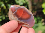 Polished On One Side Red Sashe River Agate Nodules x 35 From Zimbabwe - Toprock Gemstones and Minerals 