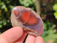 Polished On One Side Red Sashe River Agate Nodules x 35 From Zimbabwe - Toprock Gemstones and Minerals 
