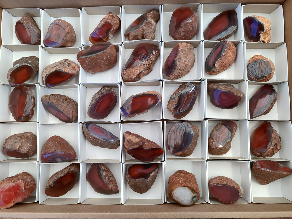 Polished On One Side Red Sashe River Agate Nodules x 35 From Zimbabwe - Toprock Gemstones and Minerals 