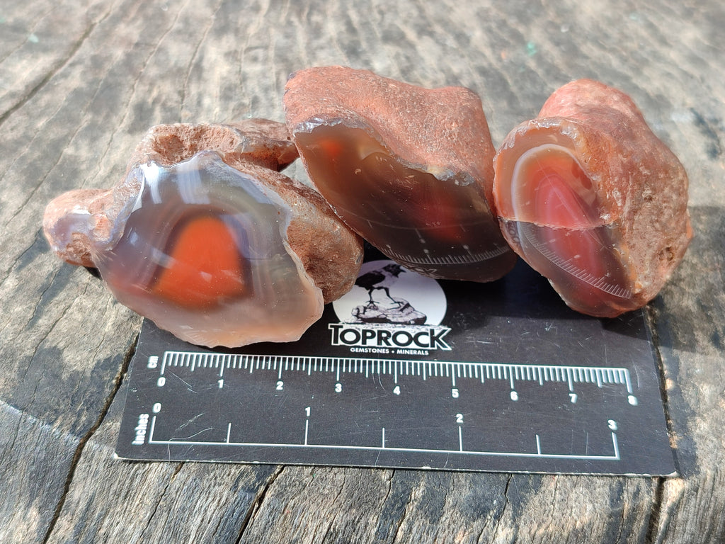 Polished On One Side Red Sashe River Agate Nodules x 35 From Zimbabwe - Toprock Gemstones and Minerals 