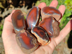 Polished On One Side Red Sashe River Agate Nodules x 35 From Zimbabwe - Toprock Gemstones and Minerals 