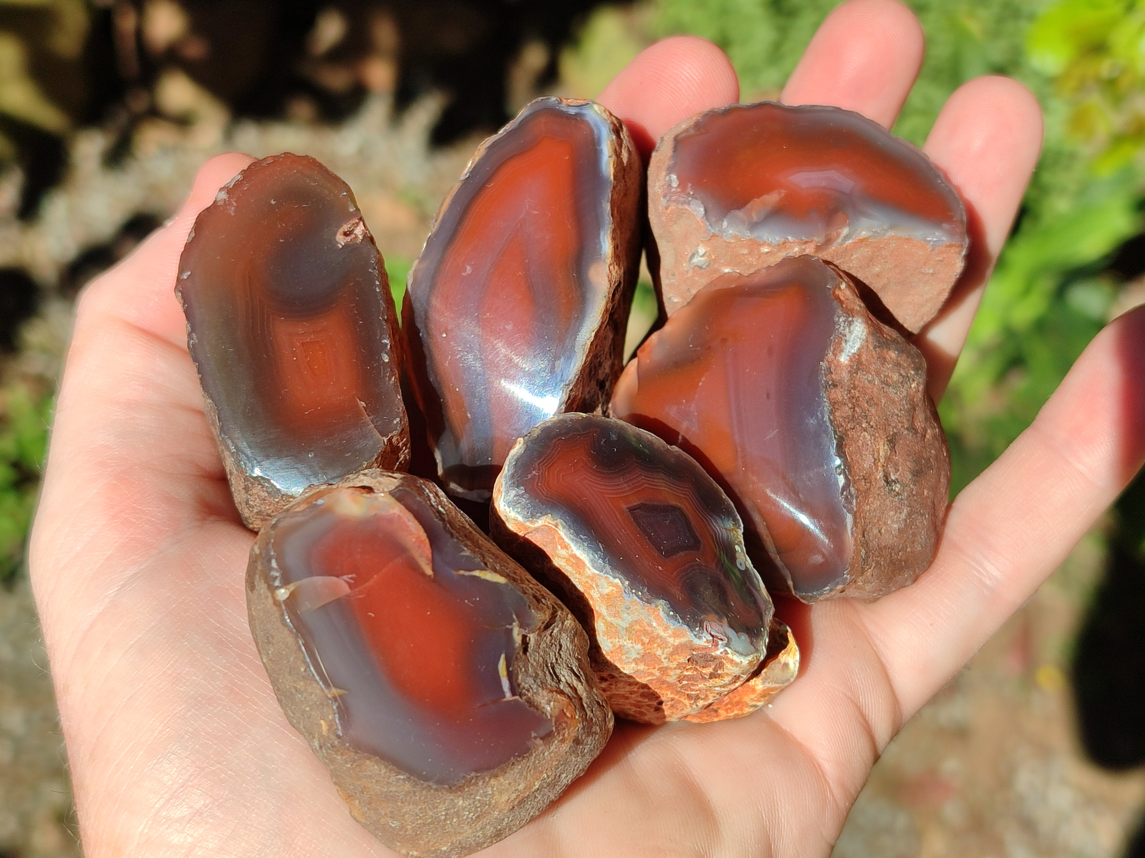 Polished On One Side Red Sashe River Agate Nodules x 35 From Zimbabwe - Toprock Gemstones and Minerals 