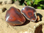 Polished On One Side Red Sashe River Agate Nodules x 35 From Zimbabwe - Toprock Gemstones and Minerals 