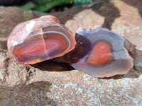 Polished On One Side Red Sashe River Agate Nodules x 35 From Zimbabwe - Toprock Gemstones and Minerals 