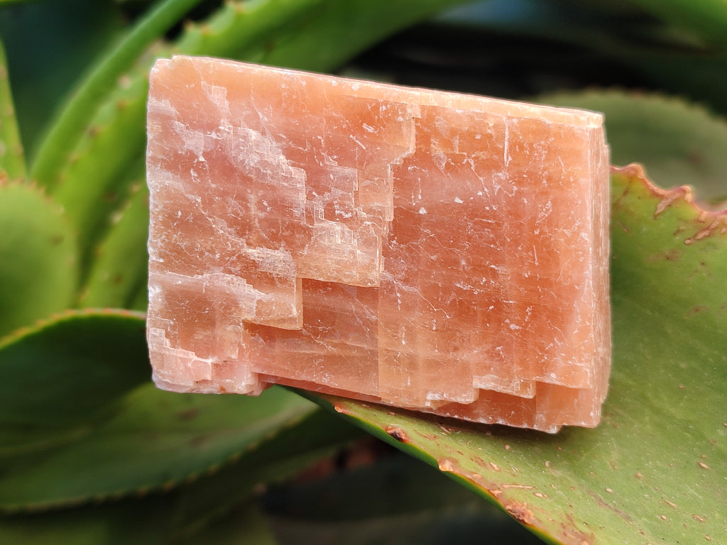 Natural Sunset Orange Rhombohedron Calcite Specimens x 12 From Spitzkop, Namibia - Toprock Gemstones and Minerals 