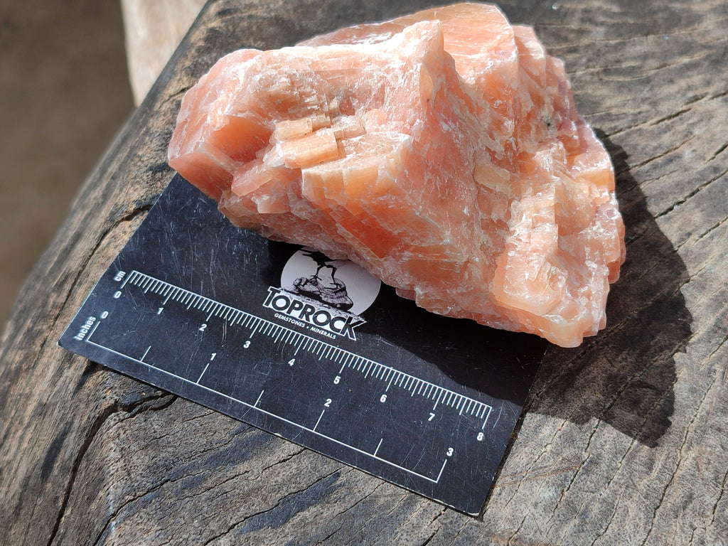 Natural Sunset Orange Rhombohedron Calcite Specimens x 12 From Spitzkop, Namibia - Toprock Gemstones and Minerals 