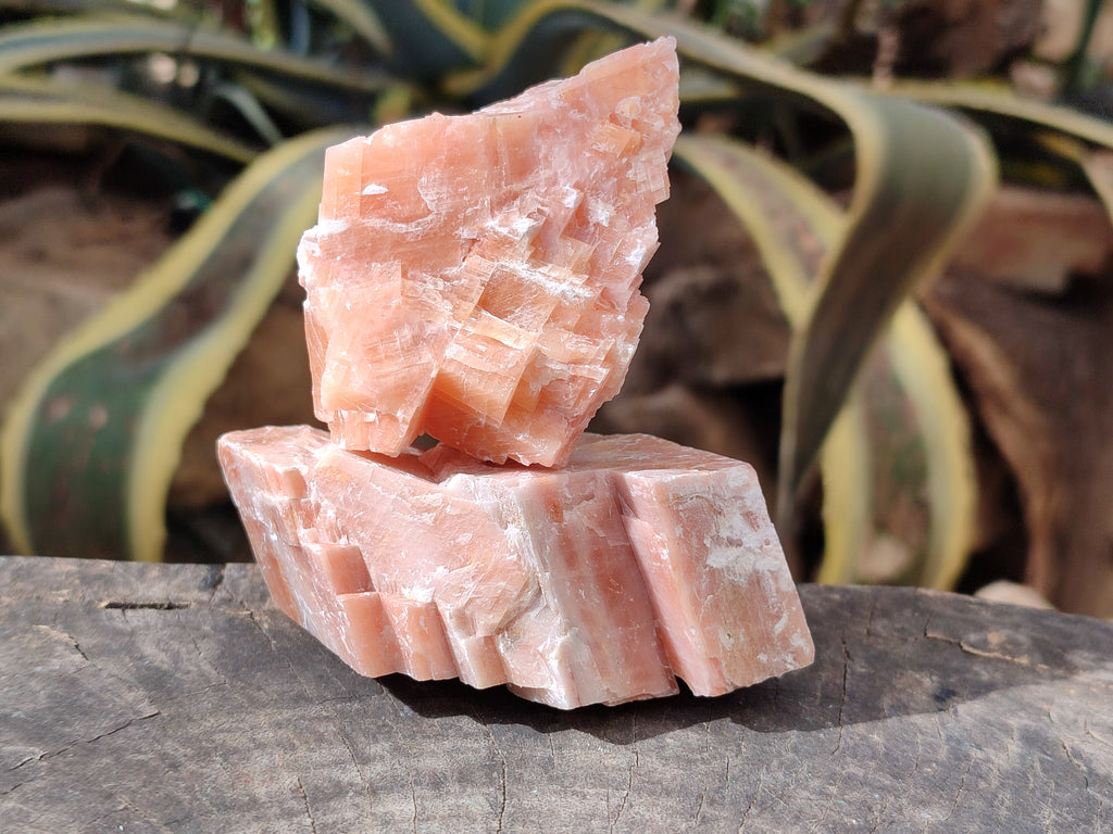 Natural Sunset Orange Rhombohedron Calcite Specimens x 12 From Spitzkop, Namibia - Toprock Gemstones and Minerals 