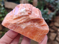 Natural Sunset Orange Rhombohedron Calcite Specimens x 12 From Spitzkop, Namibia