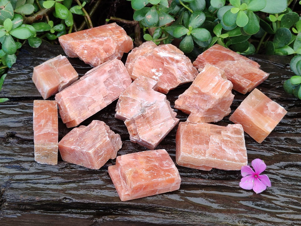 Natural Sunset Orange Rhombohedron Calcite Specimens x 12 From Spitzkop, Namibia - Toprock Gemstones and Minerals 