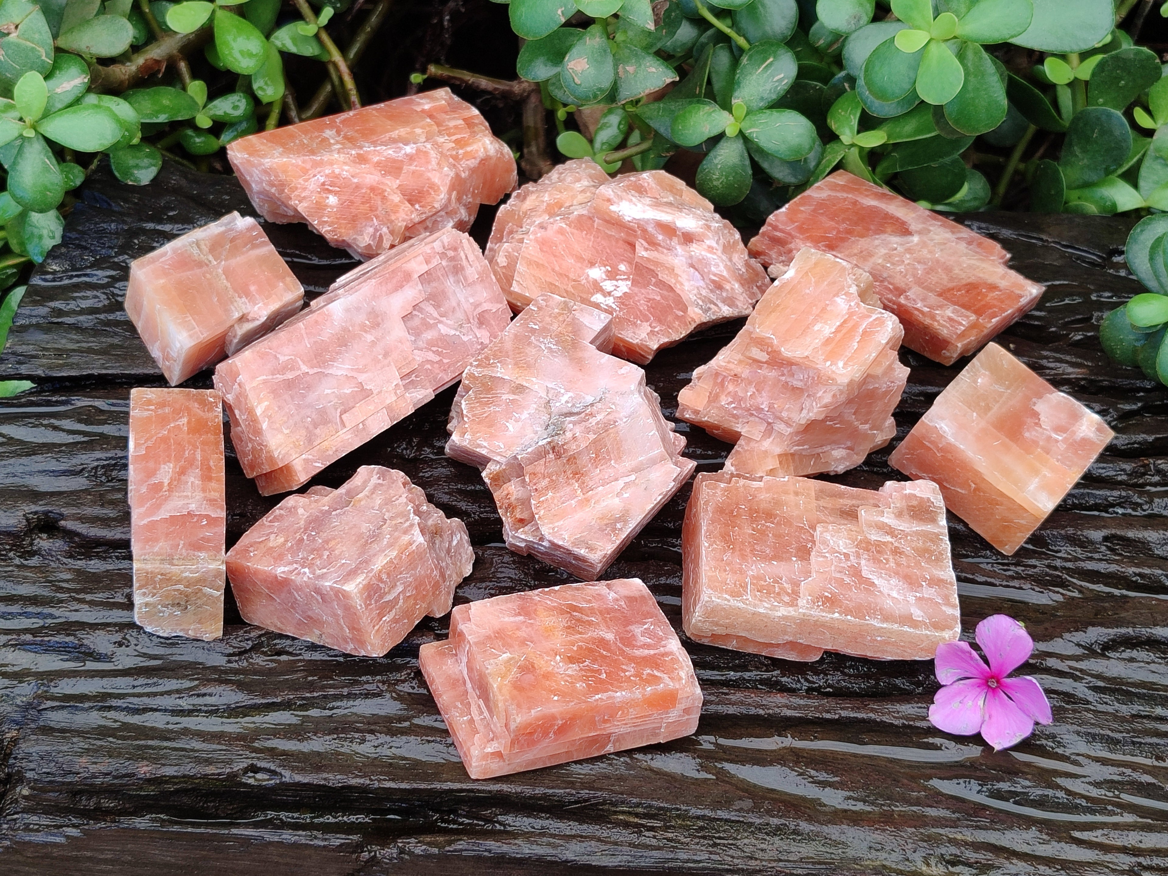 Natural Sunset Orange Rhombohedron Calcite Specimens x 12 From Spitzkop, Namibia - Toprock Gemstones and Minerals 