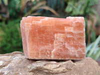 Natural Sunset Orange Rhombohedron Calcite Specimens x 12 From Spitzkop, Namibia