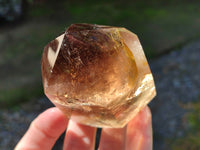 Polished Smokey Quartz Crystals x 6 From Madagascar