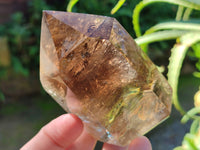 Polished Smokey Quartz Crystals x 6 From Madagascar