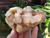 Natural Smokey Cactus Spirit Quartz Clusters x 4 From South Africa