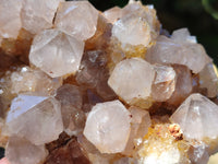 Natural Smokey Cactus Spirit Quartz Clusters x 4 From South Africa