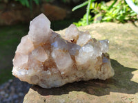 Natural Smokey Cactus Spirit Quartz Clusters x 4 From South Africa