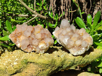 Natural Smokey Cactus Spirit Quartz Clusters x 4 From South Africa